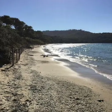 Voilier A Quai * Porquerolles